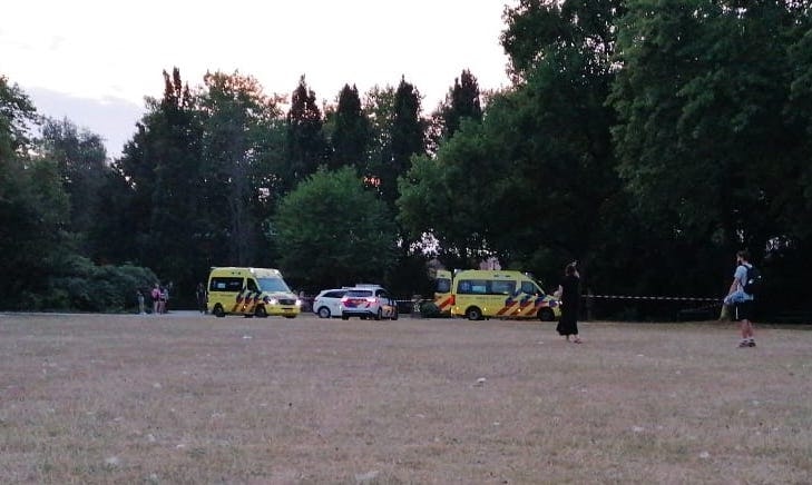 Persoon gewond na schietpartij in Julianapark in Utrecht