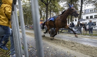 Na veel discussie was zaterdag de paardenrace op de Maliebaan in Utrecht