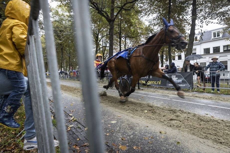 Na veel discussie was zaterdag de paardenrace op de Maliebaan in Utrecht