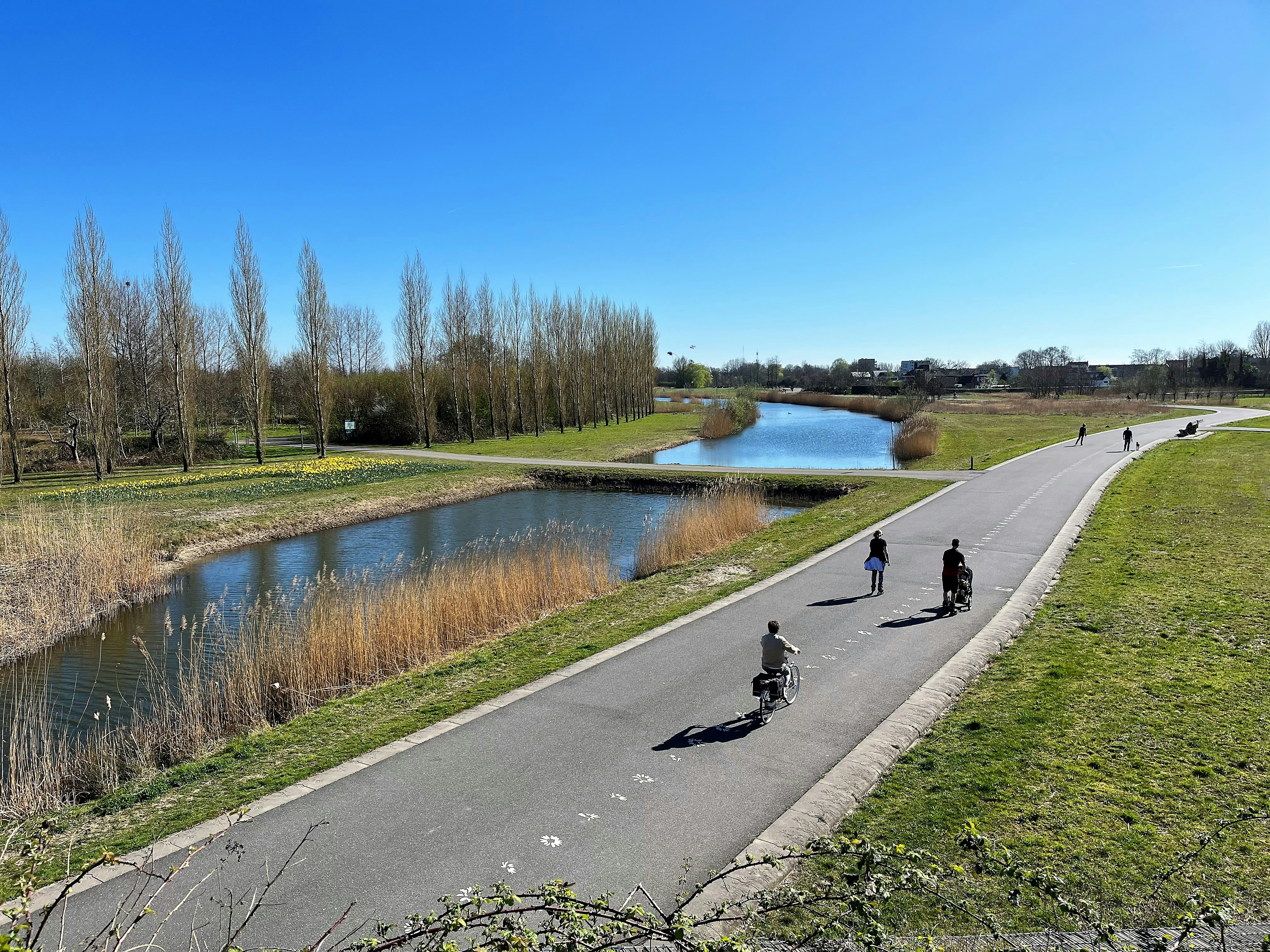 Het Lint rond het Máximapark