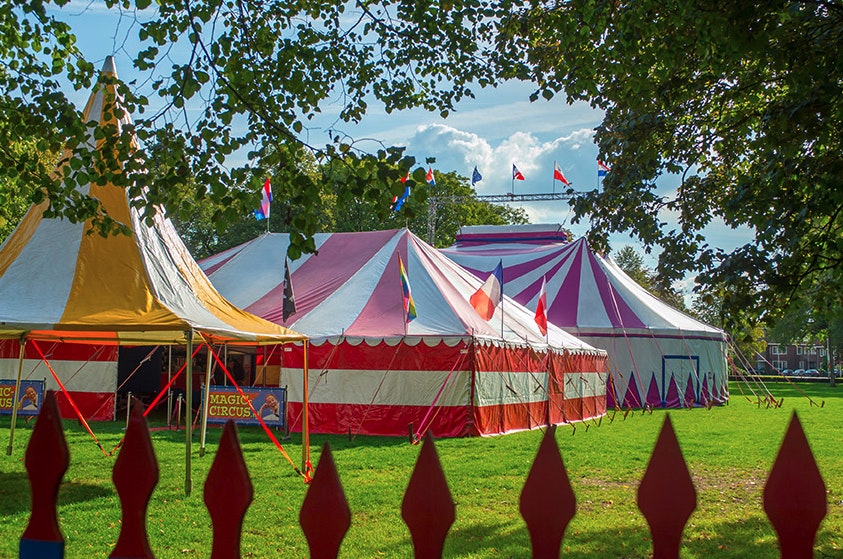 Magic Circus niet blij met afgelasting evenement in Wilhelminapark Utrecht: ‘Het is een gotspe’