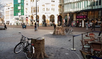 Gemeente plant nog dit plantseizoen twee nieuwe bomen op Vredenburgplein in Utrecht