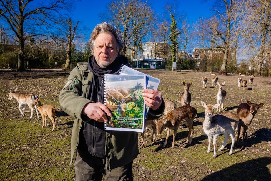 Dierenweide Julianapark in Utrecht verzet zich tegen uitsterfbeleid herten