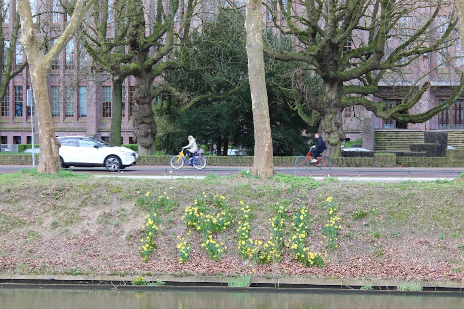 Wat is er aan de hand met de S van narcissenmonument ‘Truus’ aan de Utrechtse Catharijnesingel?