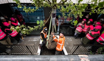 Eerste bomen geplaatst op groen gebouw van de toekomst Wonderwoods in Utrecht