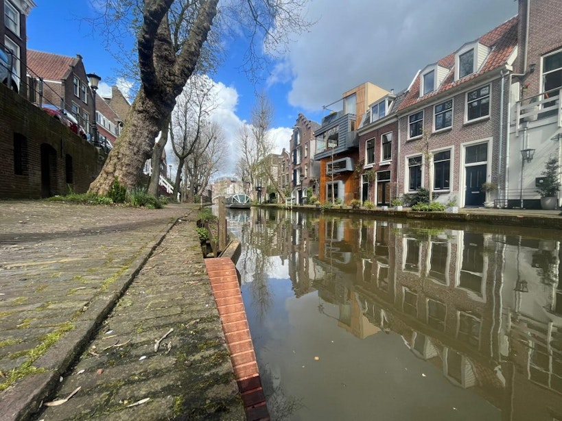 Eerste eendentrapjes aangelegd aan Utrechtse grachten: ‘Een belangrijke stap op weg naar meer flora en fauna’