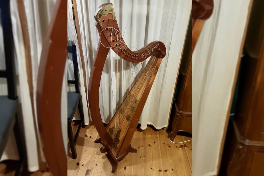 Verdwenen harp dankzij sociale media terug bij Utrechtse muzikant