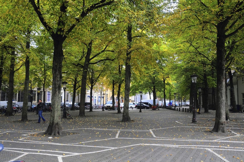Dit jaar verdwijnen er nog tientallen parkeerplekken voor auto’s in binnenstad Utrecht