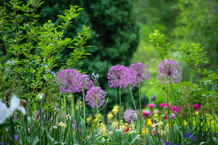 Jouw tuin zomerklaar maken? Hier 3 tips