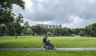 Meerdere bomen beschadigd tijdens festivals in Park Transwijk in Utrecht; organisaties moeten schade betalen
