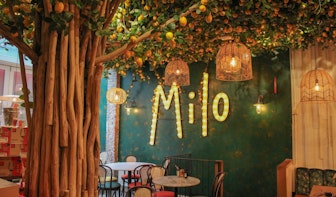Nieuw Grieks restaurant Mezzeria Milo opent deuren in Drieharingstraat Utrecht