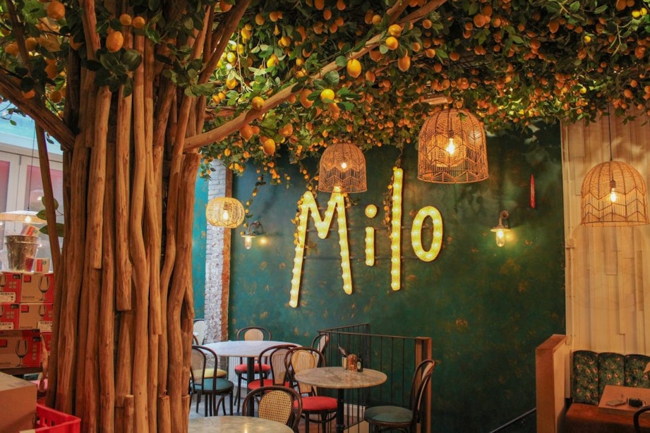 Nieuw Grieks restaurant Mezzeria Milo opent deuren in Drieharingstraat Utrecht