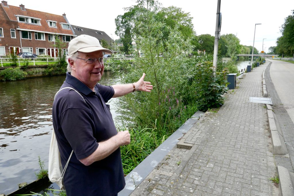 Zaailing van de maand: Sleedoorn in ‘Zaailing Gewenst Zone’ Vechtoever