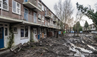 Illegaal bomen gekapt tijdens sloop van Buurland in Utrecht