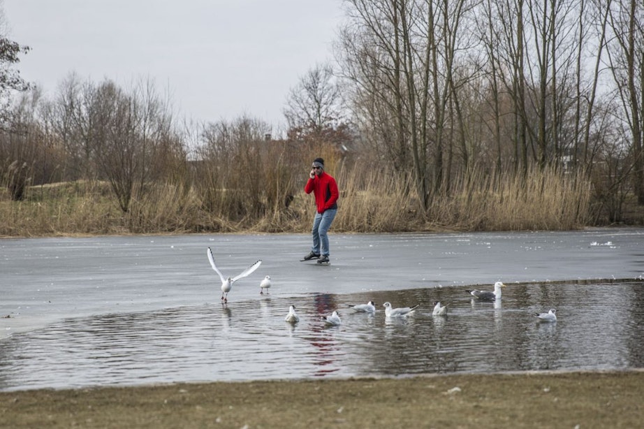 Het waterschap in Utrecht waarschuwt voor zwevende ijslagen: ‘Ga er niet op staan’