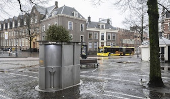 De afgedankte kerstbomen liggen weer weg te kwijnen op de Utrechtse straten
