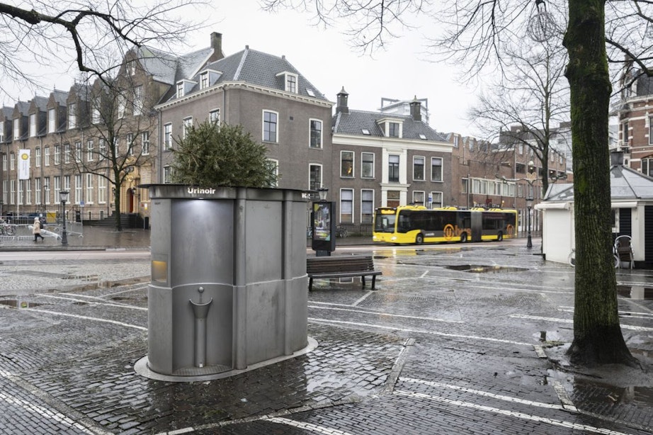 De afgedankte kerstbomen liggen weer weg te kwijnen op de Utrechtse straten