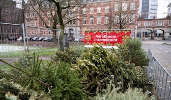 Hier in Utrecht lever je de kerstboom in 