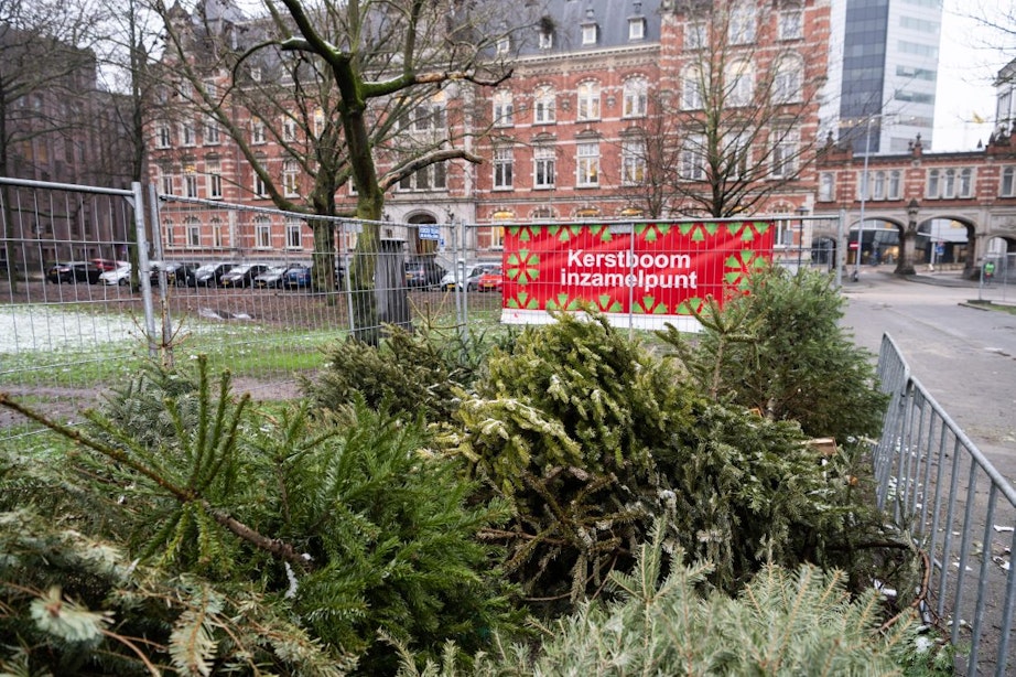 Hier in Utrecht lever je de kerstboom in 