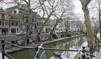 Veel onderzoek nodig om drie bomen langs Oudegracht in Utrecht te sparen