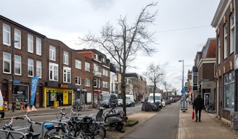 Rechter besluit dat bomen langs Amsterdamsestraatweg gekapt mogen worden, maar strijd is nog niet gestreden