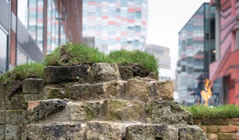Gras moet eeuwenoude muur in centrum Utrecht beschermen tegen de elementen