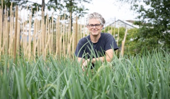 Utrecht heeft een nieuwe zelfoogsttuin in Overvecht: ‘Ik wil dat meer mensen het hele jaar lokaal voedsel eten’