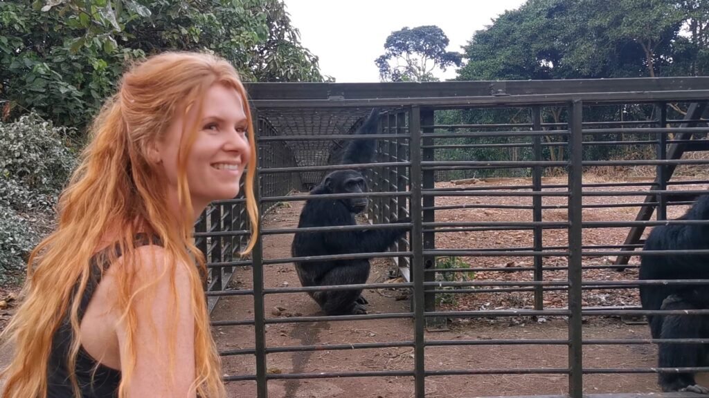 Utrechtse studente Cynthia (28) woont tussen chimpansees op piepklein eiland in Oeganda 