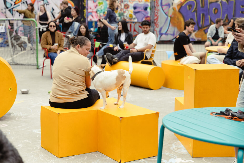 Pop up hondenclub RAUM