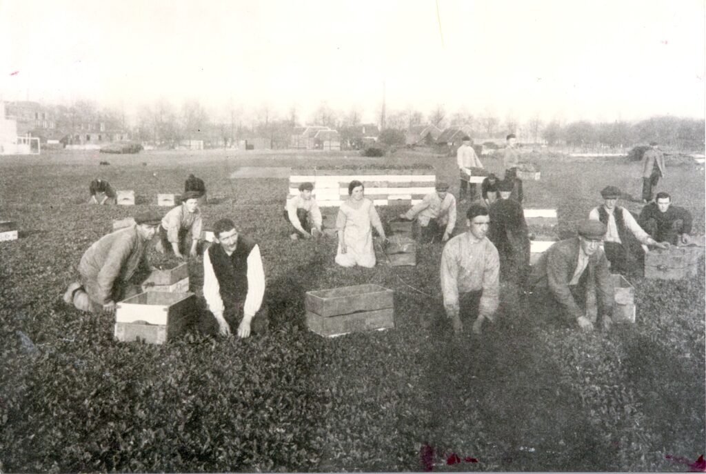 Het Utrechts Archief, collectie Jan Verheul